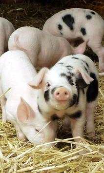 Farm Animal Puzzles Free Games screenshot 2