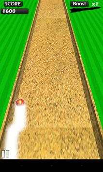 Rogue Cricket Ball screenshot 3