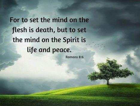 Bible Verses Daily screenshot 1