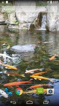 Koi Zen Garden Live Wallpaper screenshot 3