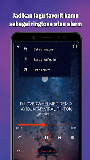 DJ INDIA REMIX FULL BASS screenshot 4