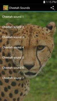 Cheetah Sounds screenshot 2