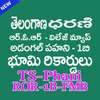 Darani TS Land Records 1B ROR FMB Pahani