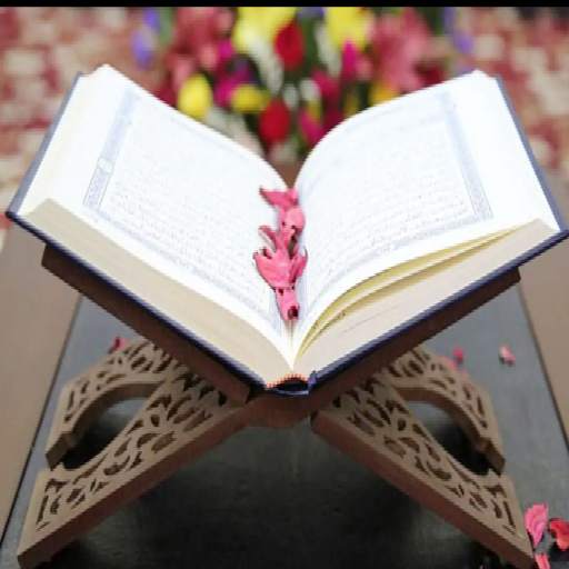 مراجعة القران حدر 7.1.1