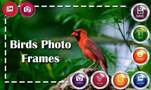 Birds HD Photo Frames and Live Wallpapers screenshot 6