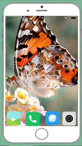 Butterfly Full HD Wallpaper screenshot 10