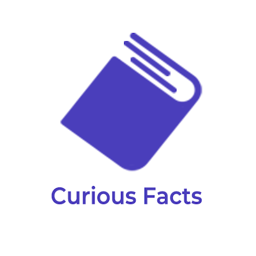Curious facts icon