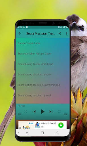 Kicau Burung Trucukan Offline screenshot 3
