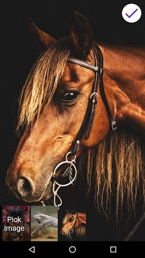 Horses Lock Screen 6 تصوير الشاشة