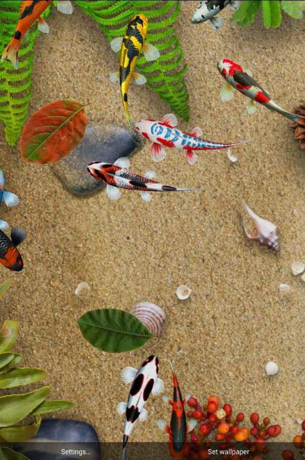 Koi Special Free Live Wallpaper screenshot 1