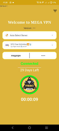 MEGA VPN screenshot 2