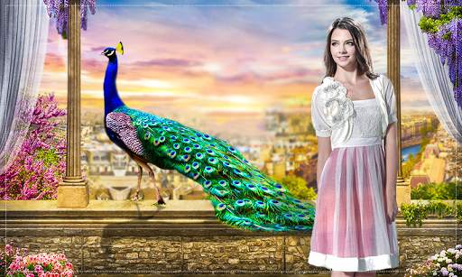 Peacock Photo Frames Novel screenshot 2