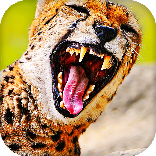 Cheetah Live Wallpaper icon