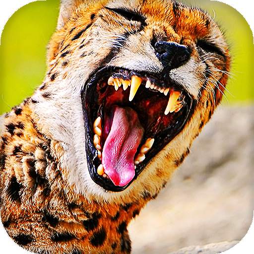 Cheetah Live Wallpaper 16.0