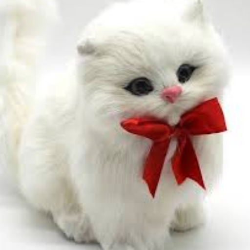 Cute Cats Wallpaper icon