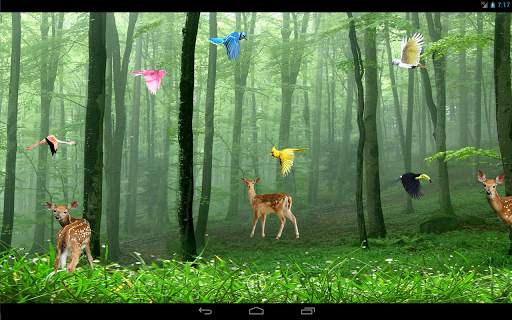 Rain Forest Live Wallpaper screenshot 6