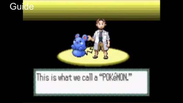CODE For Pokemon Ruby(GBA) screenshot 4
