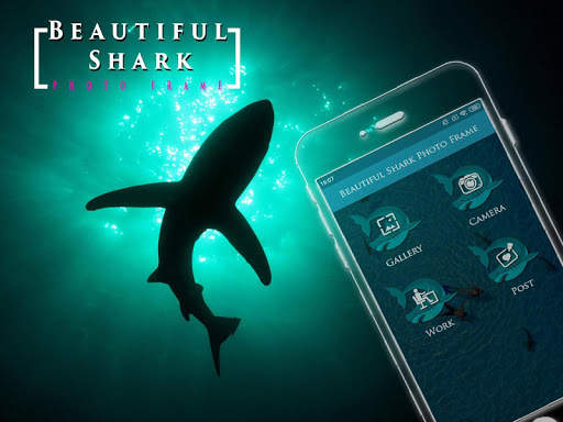 Beautiful Shark Photo Frame screenshot 2