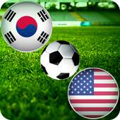 flags air football game 1.0