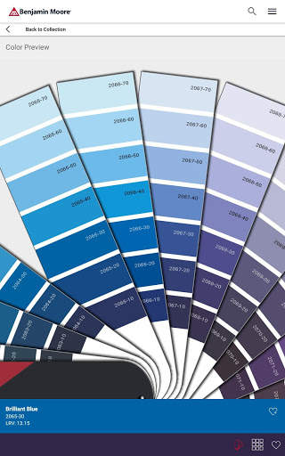Color Portfolio screenshot 8