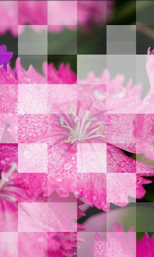Photile Live Wallpaper screenshot 5