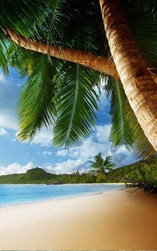 Beach HD Wallpaper screenshot 5
