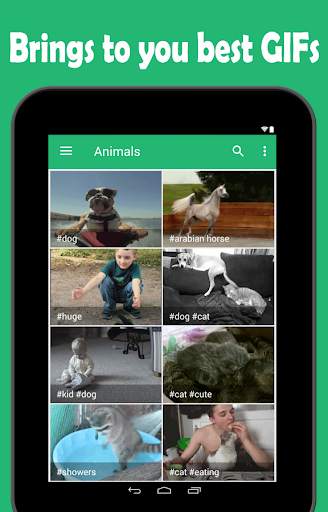 GIFs - Search Animated GIF screenshot 6
