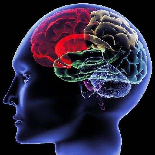 Psychology Today : Learn psychology offline screenshot 2