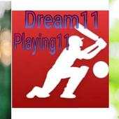 dream11 team 1.0