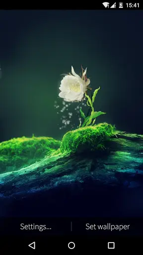 Cactus Flower Live Wallpaper скриншот 2