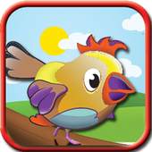 Crazy Bird Adventure 1.4