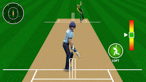 Cricket - T20 World Champions screenshot 4