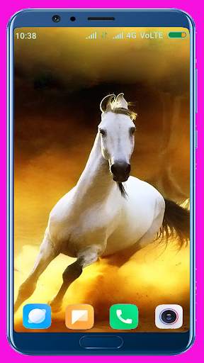 Horse Wallpaper screenshot 6