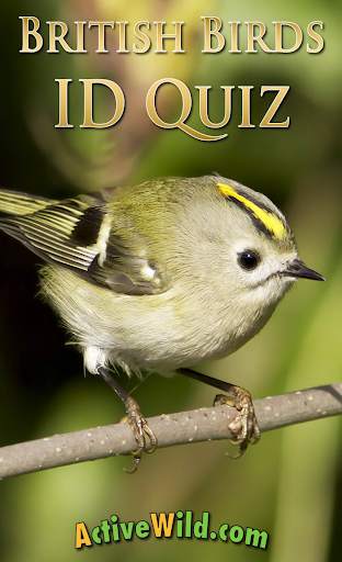 British Birds ID Quiz screenshot 1