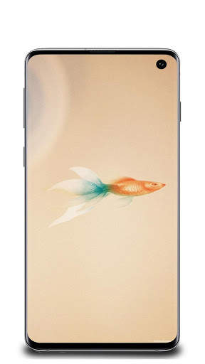 Fish Wallpaper screenshot 6