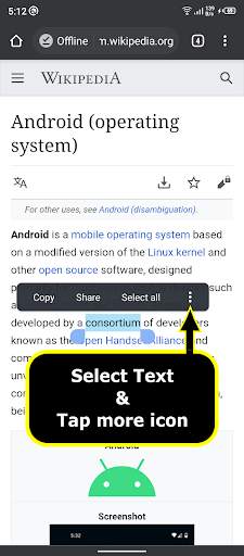 English to Urdu to English screenshot 1