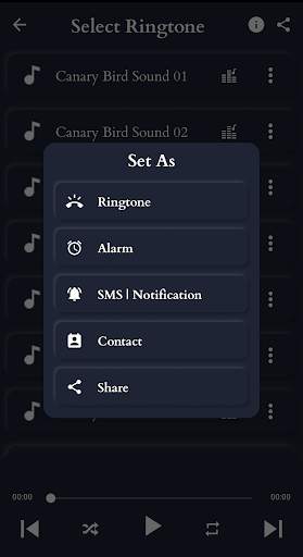 Canary Bird Sounds screenshot 4