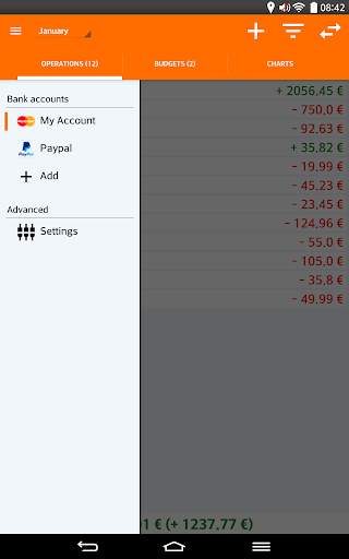 My Budget screenshot 8