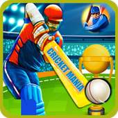 World Cricket Lite 1.1