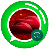 Status Saver icon