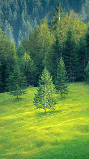 Scenery Wallpaper HD screenshot 13