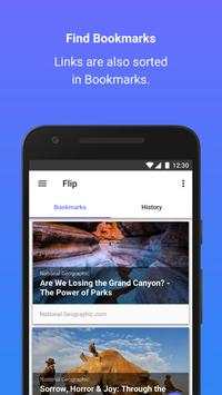 Flip Browser screenshot 3