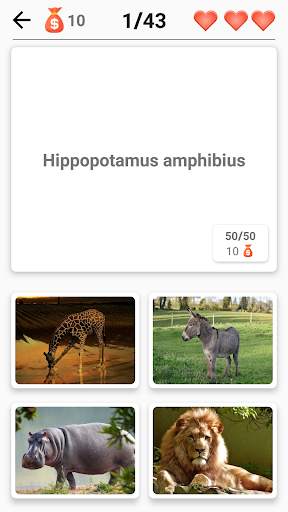 Mamíferos - ¡Aprende todos los animales en Quiz! screenshot 6