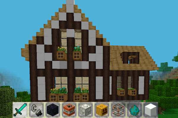 Mini Craft 2020 screenshot 2