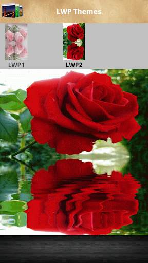 Rose Live Wallpaper screenshot 6