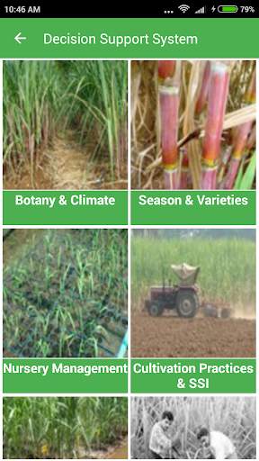 Sugarcane Expert System screenshot 4