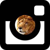 Photowithlion - Take photo with Lion