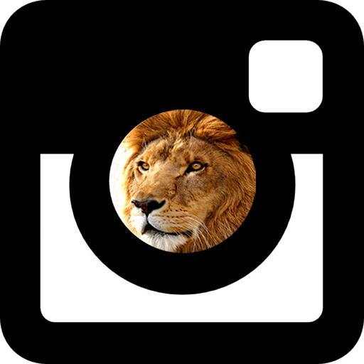Photowithlion - Take photo with Lion 1.4