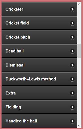 Cricket Language &Terminology screenshot 3