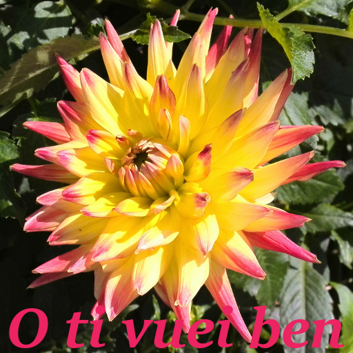 O ti vuei ben icon